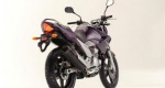 2011-Yamaha-FZ25-Fazer-250-slated-for-India-rear-right-three-quarter-purple