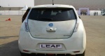 Leaf_015