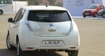 Leaf_017