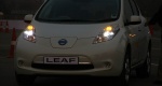 Leaf_028