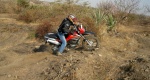 Hero-Motocorp-Impulse-471