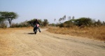 Hero-Motocorp-Impulse-80