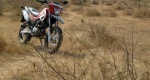 Hero-Motocorp-Impulse-871