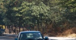 2012-Swift-Dzire-28