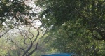 2012-Swift-Dzire-49